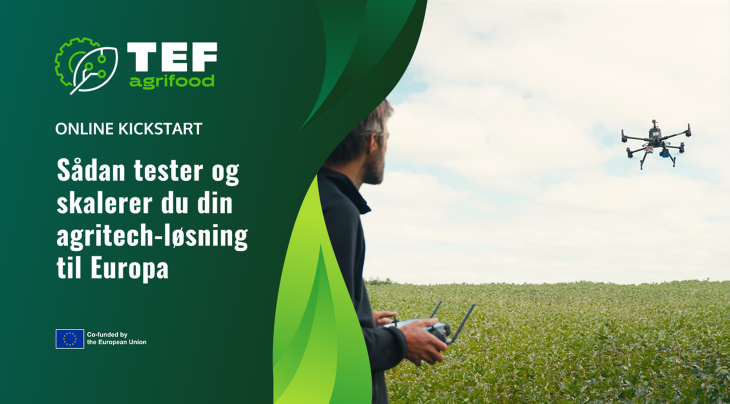 agrifoodTEF-webinar